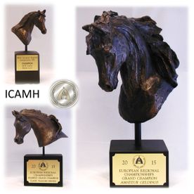 ICAMH