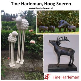 Tine Harleman