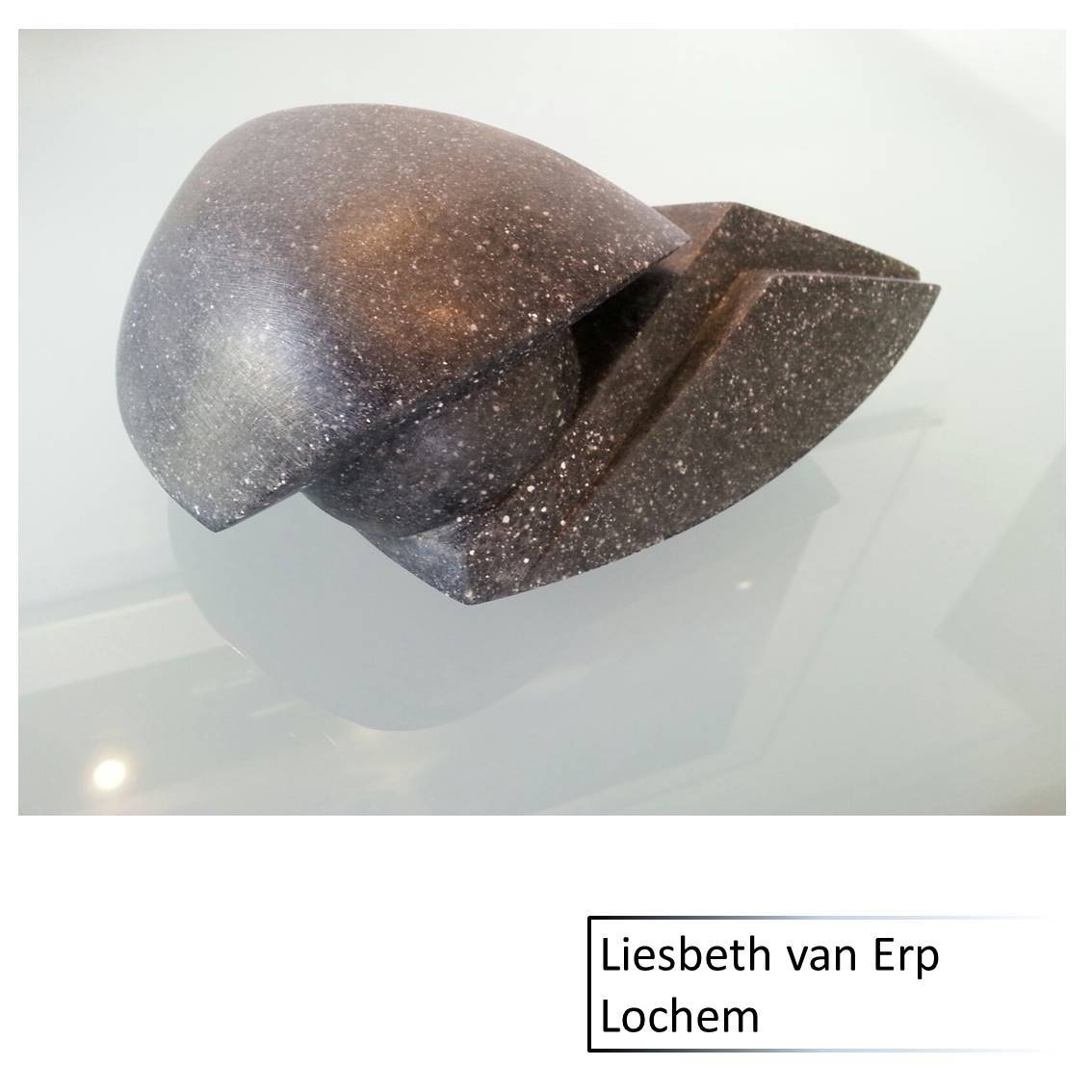 Liesbeth van Erp
