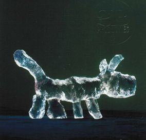 Hondje transparant