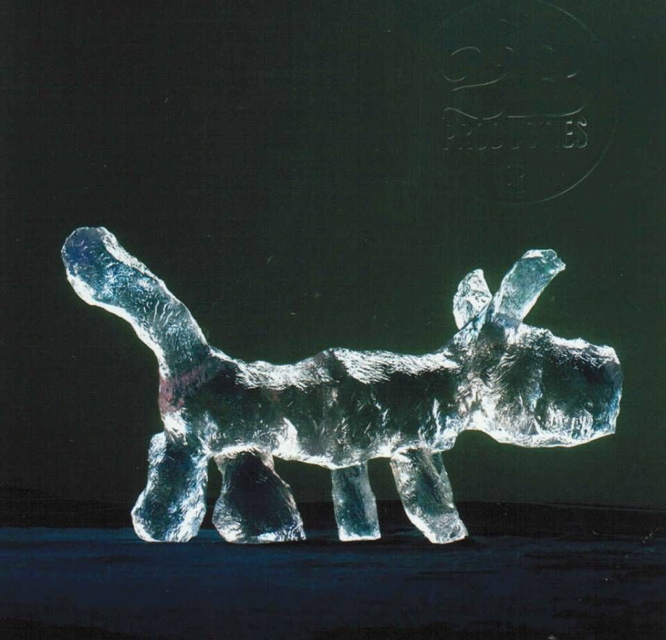 Hondje transparant