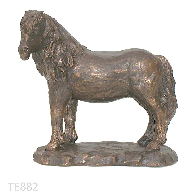 TE882 Pony kijkt naar links