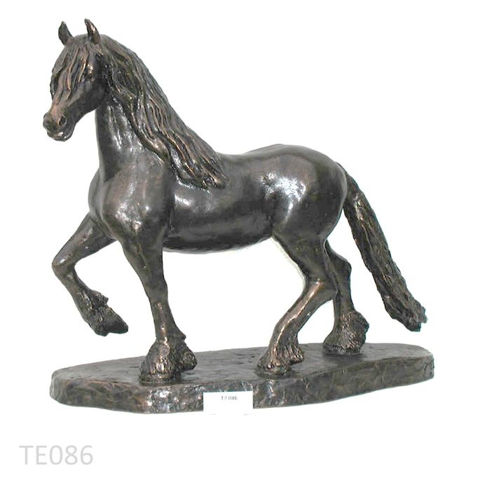 Fries paard groot