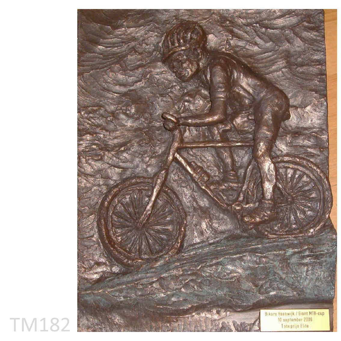 Moutainbiker op plaket