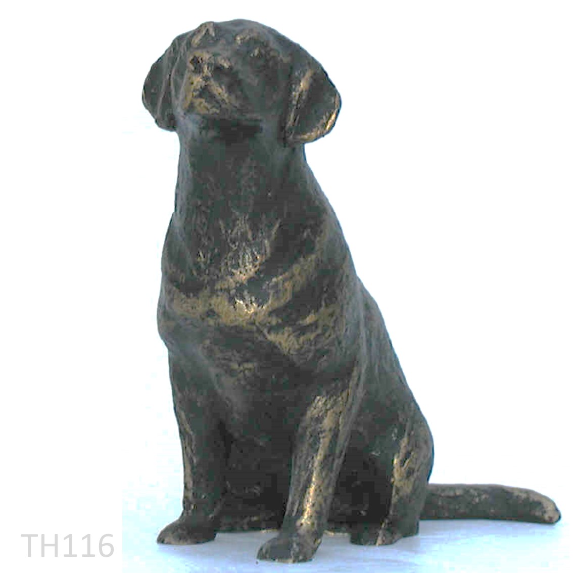 Hond: Labrador